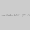 Cyanine 644-cAMP: (20x50ug)